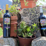 Bottiglie di cannonau